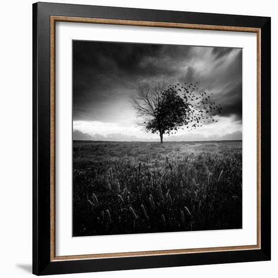 Illusion D'Un Printemps Perdu-Sebastien Del Grosso-Framed Photographic Print