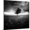 Illusion D'Un Printemps Perdu-Sebastien Del Grosso-Mounted Photographic Print