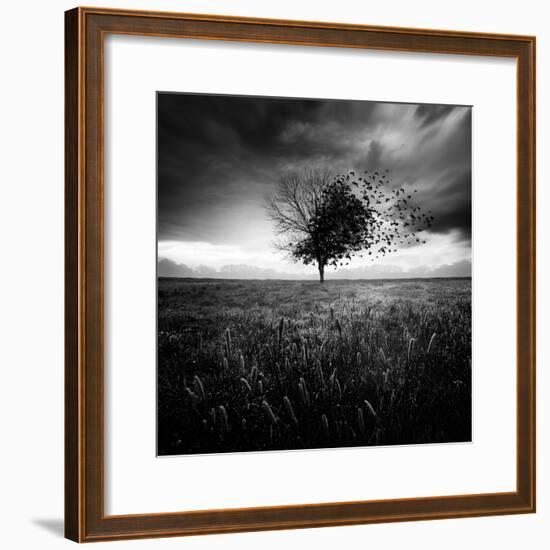 Illusion D'Un Printemps Perdu-Sebastien Del Grosso-Framed Photographic Print