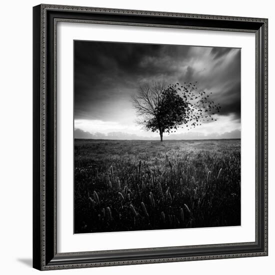 Illusion D'Un Printemps Perdu-Sebastien Del Grosso-Framed Photographic Print