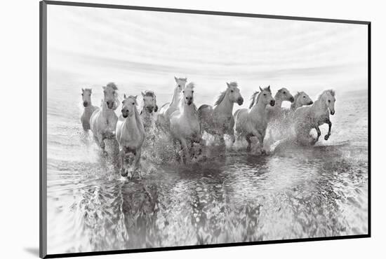 Illusion of Power (13 Horse Power Though)-Roman Golubenko-Mounted Photographic Print