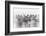 Illusion of Power (13 Horse Power Though)-Roman Golubenko-Framed Photographic Print