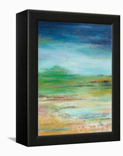 Illusion-Patricia Pinto-Framed Stretched Canvas