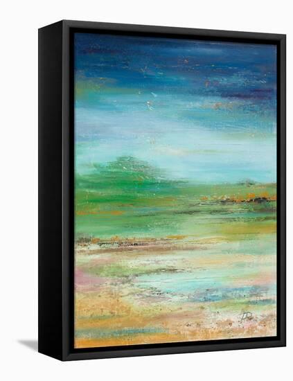 Illusion-Patricia Pinto-Framed Stretched Canvas