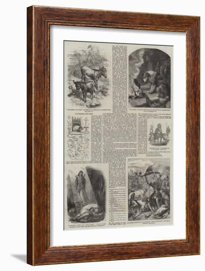 Illustrated Gift Books-Harrison William Weir-Framed Giclee Print