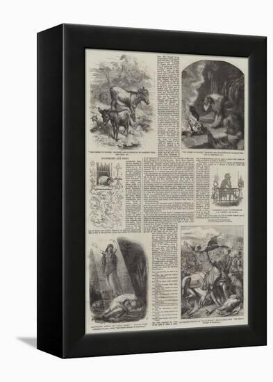 Illustrated Gift Books-Harrison William Weir-Framed Premier Image Canvas