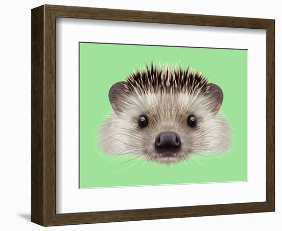 Illustrated Portrait of Hedgehog. Cute Head of Wild Spiny Mammal on Green Background.-ant_art-Framed Premium Giclee Print