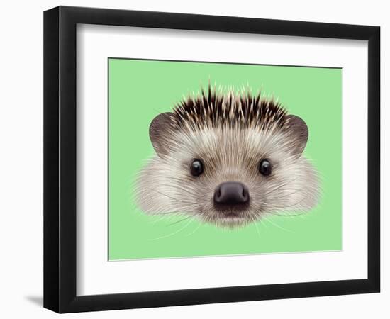 Illustrated Portrait of Hedgehog. Cute Head of Wild Spiny Mammal on Green Background.-ant_art-Framed Premium Giclee Print