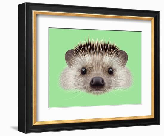 Illustrated Portrait of Hedgehog. Cute Head of Wild Spiny Mammal on Green Background.-ant_art-Framed Premium Giclee Print