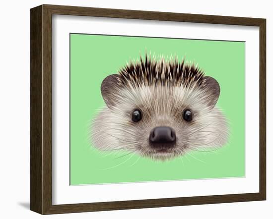 Illustrated Portrait of Hedgehog. Cute Head of Wild Spiny Mammal on Green Background.-ant_art-Framed Art Print