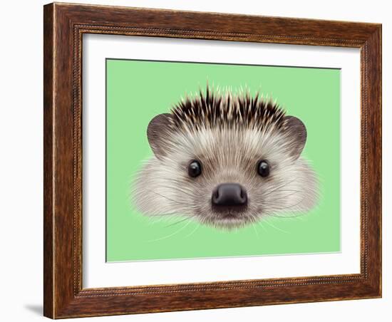 Illustrated Portrait of Hedgehog. Cute Head of Wild Spiny Mammal on Green Background.-ant_art-Framed Art Print