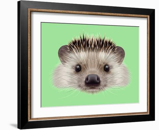 Illustrated Portrait of Hedgehog. Cute Head of Wild Spiny Mammal on Green Background.-ant_art-Framed Art Print