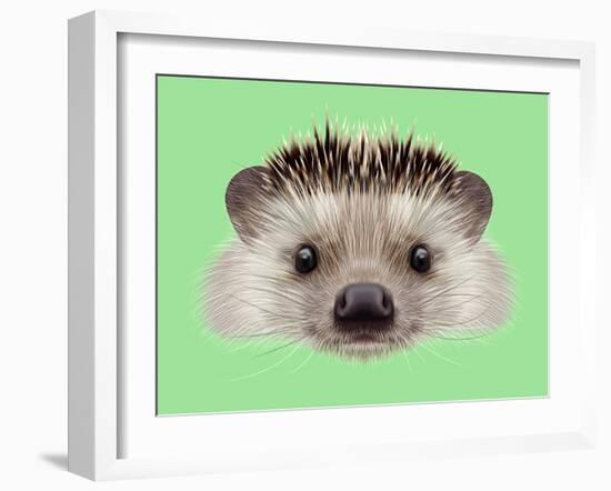 Illustrated Portrait of Hedgehog. Cute Head of Wild Spiny Mammal on Green Background.-ant_art-Framed Art Print