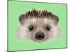 Illustrated Portrait of Hedgehog. Cute Head of Wild Spiny Mammal on Green Background.-ant_art-Mounted Art Print