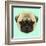 Illustrated Portrait of Pug Puppy. Cute Fluffy Fawn Face of Domestic Dog on Blue Background.-ant_art-Framed Art Print