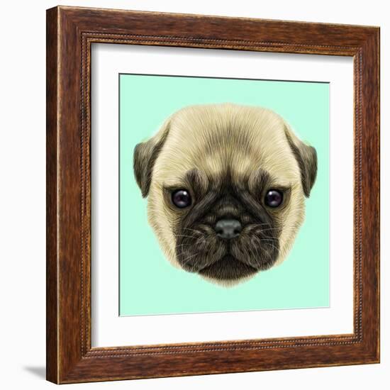 Illustrated Portrait of Pug Puppy. Cute Fluffy Fawn Face of Domestic Dog on Blue Background.-ant_art-Framed Art Print