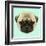 Illustrated Portrait of Pug Puppy. Cute Fluffy Fawn Face of Domestic Dog on Blue Background.-ant_art-Framed Art Print