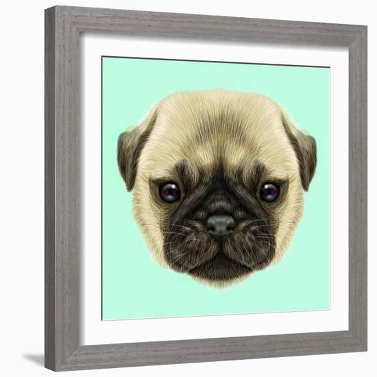 Illustrated Portrait of Pug Puppy. Cute Fluffy Fawn Face of Domestic Dog on Blue Background.-ant_art-Framed Art Print