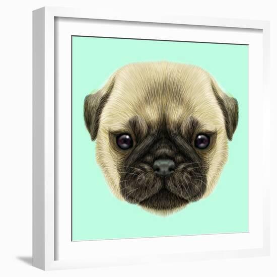 Illustrated Portrait of Pug Puppy. Cute Fluffy Fawn Face of Domestic Dog on Blue Background.-ant_art-Framed Art Print