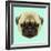 Illustrated Portrait of Pug Puppy. Cute Fluffy Fawn Face of Domestic Dog on Blue Background.-ant_art-Framed Art Print