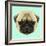 Illustrated Portrait of Pug Puppy. Cute Fluffy Fawn Face of Domestic Dog on Blue Background.-ant_art-Framed Art Print