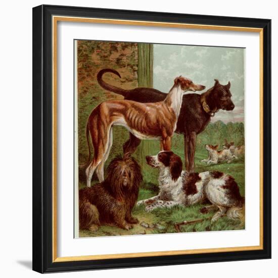 Illustration by Kronheim of Various Dogs, from Aunt Louisa's Birthday Gift-null-Framed Photographic Print