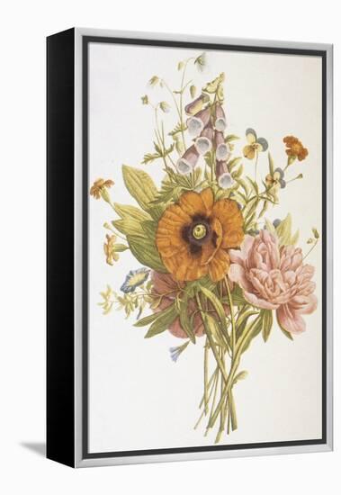 Illustration Depicting a Bouquet of Poppies, Carnations and Foxglove-Bettmann-Framed Premier Image Canvas