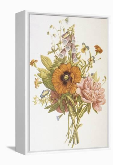 Illustration Depicting a Bouquet of Poppies, Carnations and Foxglove-Bettmann-Framed Premier Image Canvas