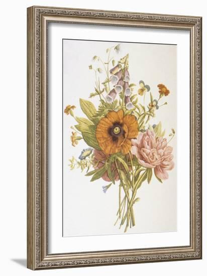 Illustration Depicting a Bouquet of Poppies, Carnations and Foxglove-Bettmann-Framed Giclee Print