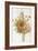 Illustration Depicting a Bouquet of Poppies, Carnations and Foxglove-Bettmann-Framed Giclee Print