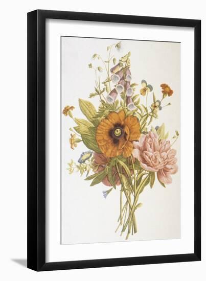 Illustration Depicting a Bouquet of Poppies, Carnations and Foxglove-Bettmann-Framed Giclee Print