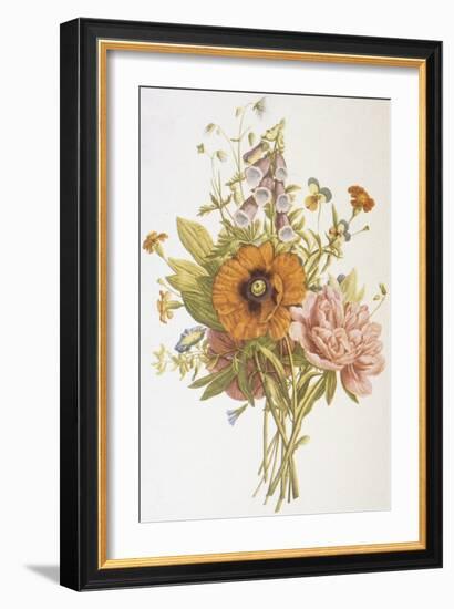 Illustration Depicting a Bouquet of Poppies, Carnations and Foxglove-Bettmann-Framed Giclee Print