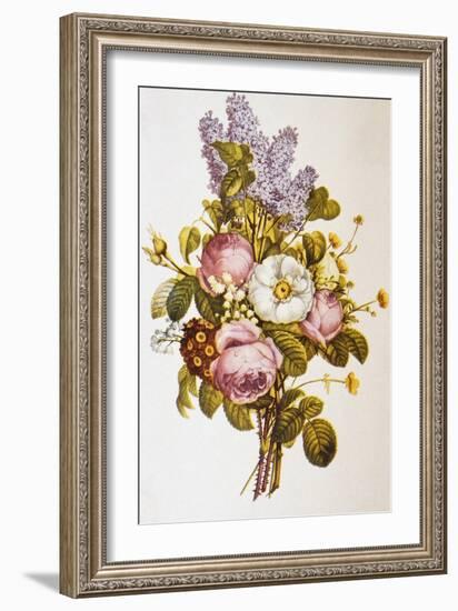 Illustration Depicting a Bouquet of Roses and Lilacs-Bettmann-Framed Giclee Print