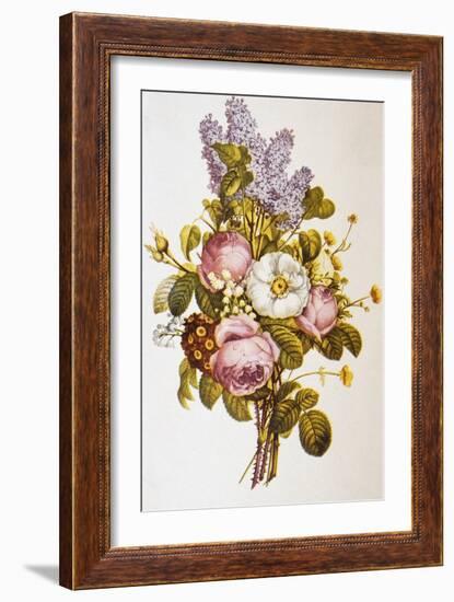 Illustration Depicting a Bouquet of Roses and Lilacs-Bettmann-Framed Giclee Print