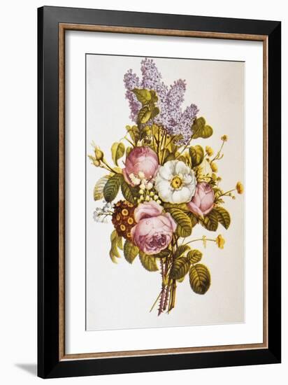Illustration Depicting a Bouquet of Roses and Lilacs-Bettmann-Framed Giclee Print