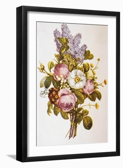 Illustration Depicting a Bouquet of Roses and Lilacs-Bettmann-Framed Giclee Print