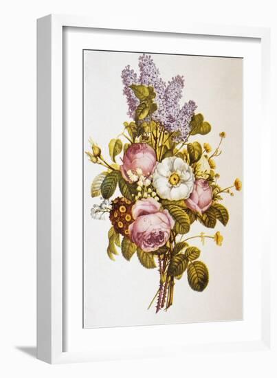 Illustration Depicting a Bouquet of Roses and Lilacs-Bettmann-Framed Giclee Print