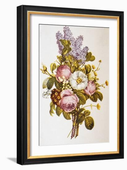 Illustration Depicting a Bouquet of Roses and Lilacs-Bettmann-Framed Giclee Print