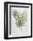 Illustration Depicting a Branch of a Royal Fern-Bettmann-Framed Giclee Print