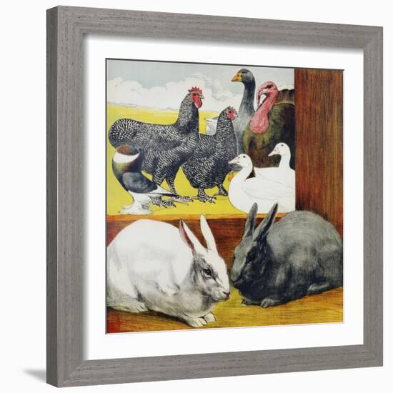 Illustration Depicting Rabbits and Farm Birds-null-Framed Giclee Print