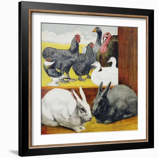 Illustration Depicting Rabbits and Farm Birds-null-Framed Giclee Print