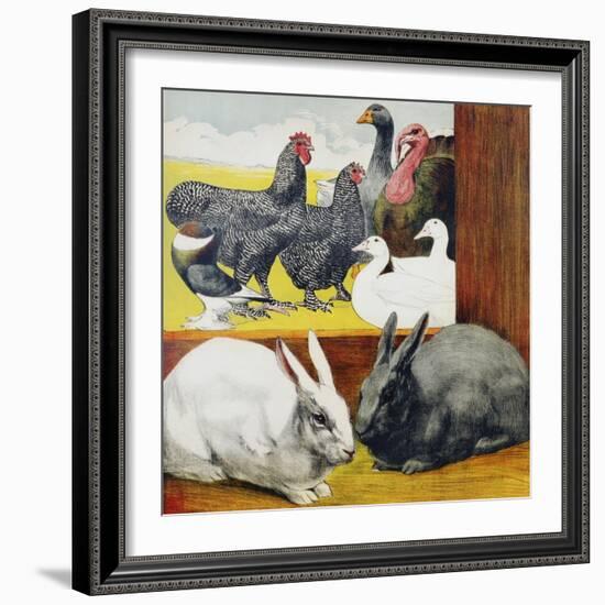 Illustration Depicting Rabbits and Farm Birds-null-Framed Giclee Print