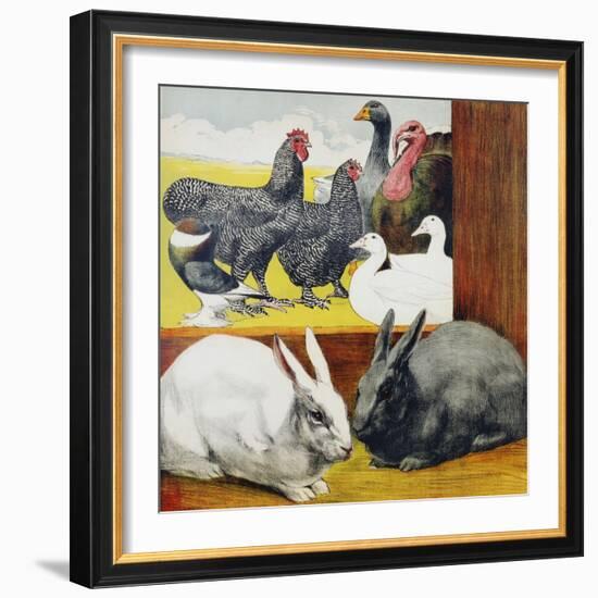 Illustration Depicting Rabbits and Farm Birds-null-Framed Giclee Print