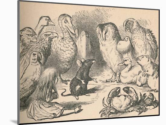 'Illustration for the chapter 'a Caucus-Race and a long tail'. Alice and various creatures, such as-John Tenniel-Mounted Giclee Print
