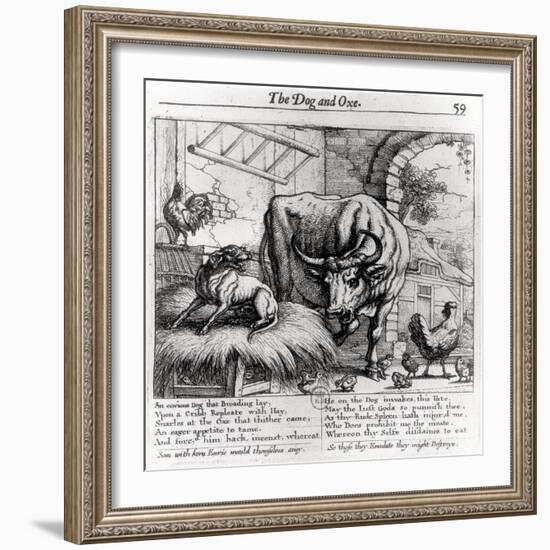 Illustration for "The Dog and the Ox", from Aesop's Fables, 1666-Francis Barlow-Framed Giclee Print