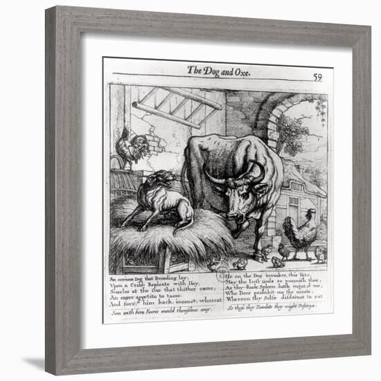 Illustration for "The Dog and the Ox", from Aesop's Fables, 1666-Francis Barlow-Framed Giclee Print