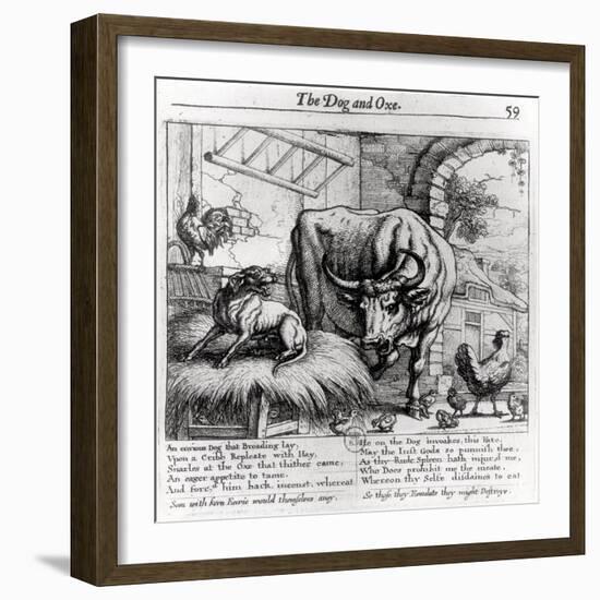 Illustration for "The Dog and the Ox", from Aesop's Fables, 1666-Francis Barlow-Framed Giclee Print