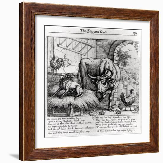 Illustration for "The Dog and the Ox", from Aesop's Fables, 1666-Francis Barlow-Framed Giclee Print