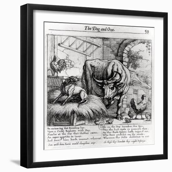 Illustration for "The Dog and the Ox", from Aesop's Fables, 1666-Francis Barlow-Framed Giclee Print