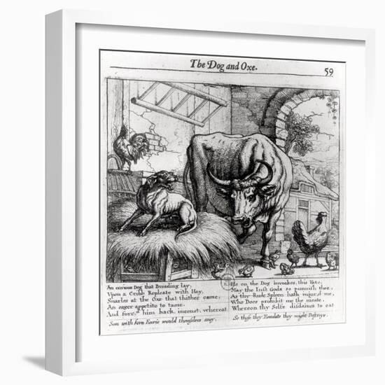 Illustration for "The Dog and the Ox", from Aesop's Fables, 1666-Francis Barlow-Framed Giclee Print